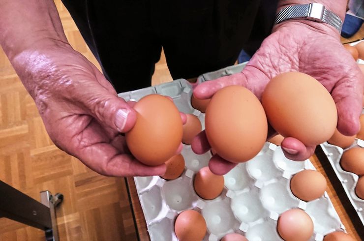 穂栄,すいえい,養鶏,産卵鶏,酸素供給,卵重,ナノバブル