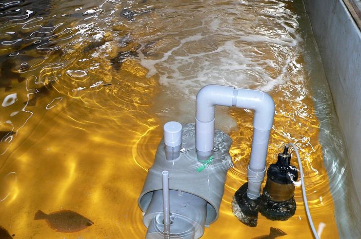 穂栄,すいえい,ヒラメ,養殖,酸素供給,ナノバブル