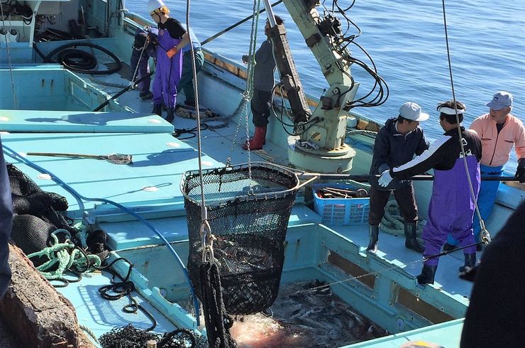 穂栄,すいえい,養殖,鮮度保持,酸素供給,沿海漁業,ナノバブル