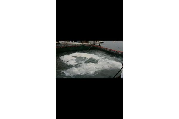 穂栄,すいえい,水産,養殖,カンパチ,薬浴,OXY+