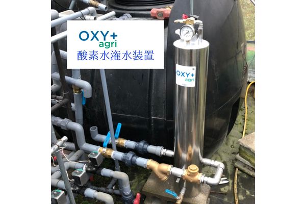 穂栄,すいえい,農業,酸素水,潅水,OXY+,いちご