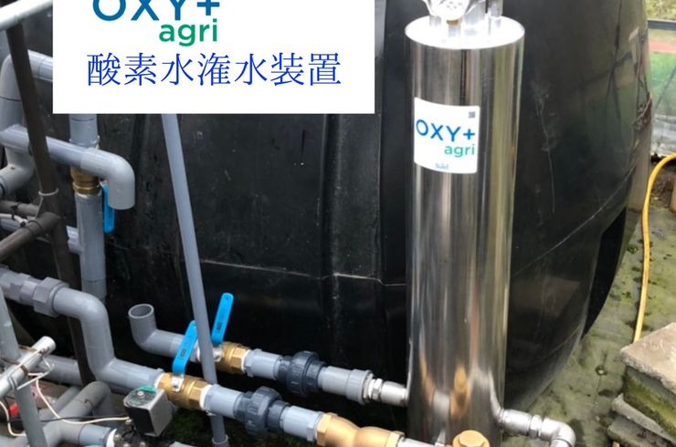 穂栄,すいえい,農業,酸素水,潅水,OXY+,いちご