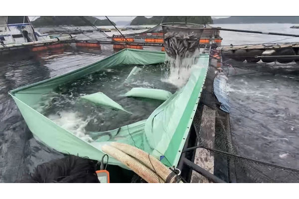 OXY+fishery　水産用酸素供給装置　穂栄株式会社　淡水薬浴