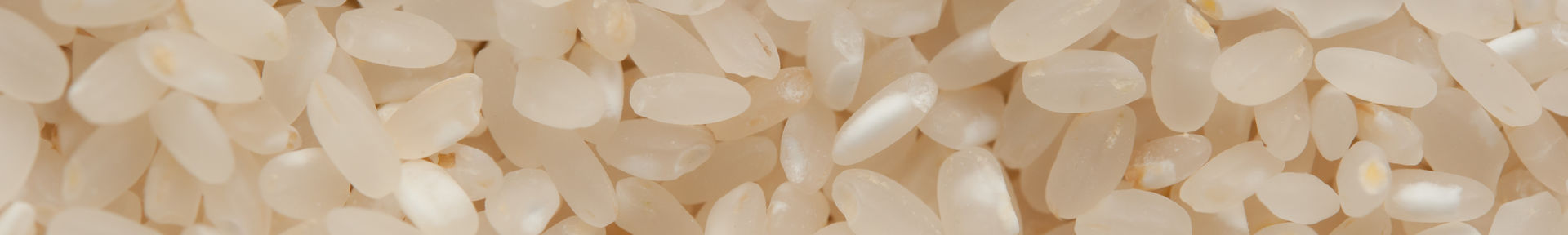 穂栄,すいえい,酸素,生産技術,持続可能な産業