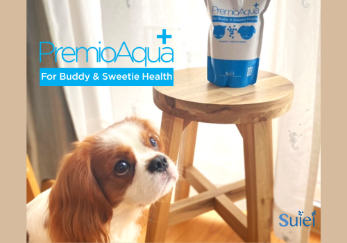 premioaqua,プレミオアクア,ペット用酸素水,穂栄,すいえい